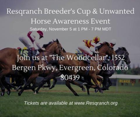 Please Join Us This Saturday For The Breeder’s Cup And Unwanted Horse Awareness Event!