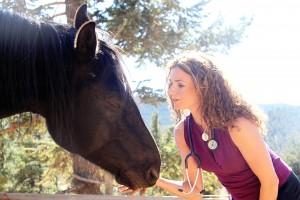 “whole-istic” Horse Health And Behavior